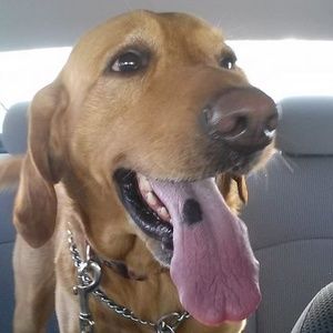 Meet your Posher, Deanna